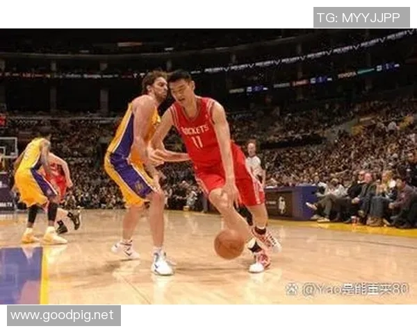 足球明星与篮球巨星的精彩对话与友谊碰撞揭示体育界的无限可能